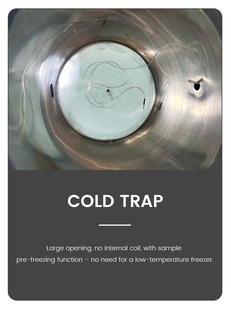 Internal top-down infographic view of a stainless steel cold trap chamber with a pre-freezing function in a vacuum freeze dryer system.